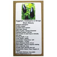 6 Degrees East Heirloom Veg Seeds - Aubergine - Black Beauty